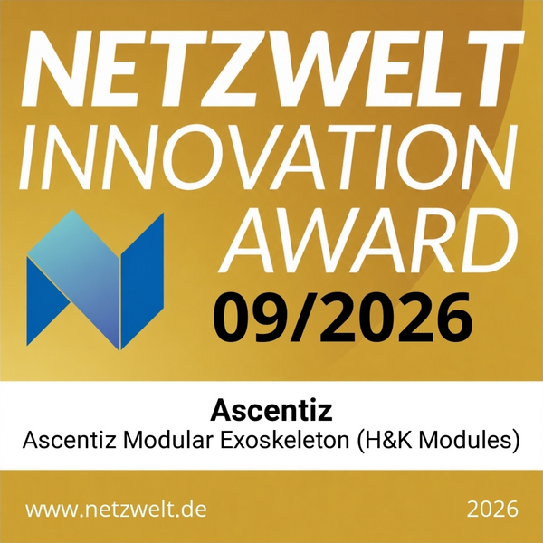 Netzwelt Innovation Award